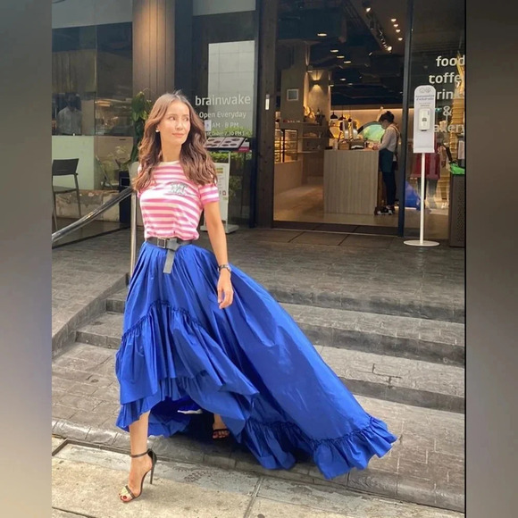 MaxMara Silk Skirt Size 4 Silk Blend - Picture 3 of 6